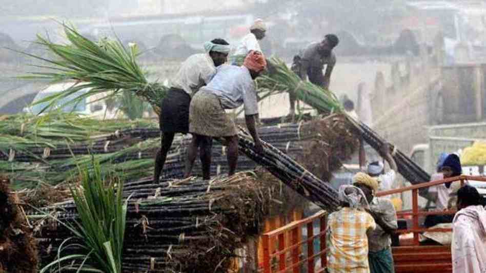 Baghpat में ₹5.32 करोड़ से गन्ना राजस्व की 16 सड़कों का पुनर्निर्माण Baghpat’s Sugarcane Roads Getting