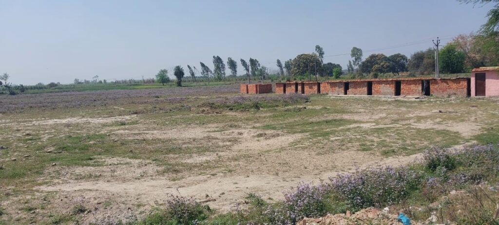 Shamli District's Sports: शामली के खिलाड़ियों का सपना: क्या 13 साल बाद मिलेगा स्टेडियम शामली जिला खेल स्टेडियम का सपना