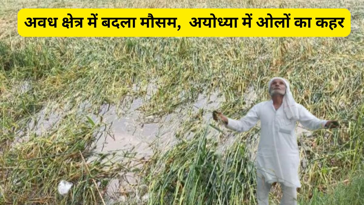 अयोध्या में ओलों का कहर