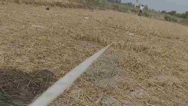 संभल के Chandausi में सरकारी तालाब की 40 बीघा भूमि पर अवैध कब्जा Chandausi Government Land Occupation Removed