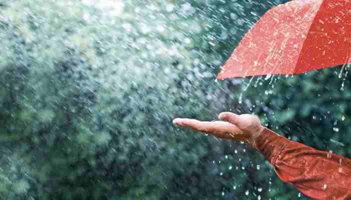 Uttar Pradesh में तेज आंधी-तूफान और बारिश से किसानों को भारी नुकसान Uttar Pradesh Crop Damage due to Storm and Rain