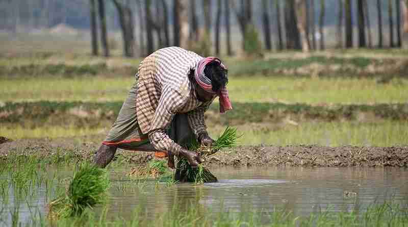 Uttar Pradesh Government's new agricultural scheme