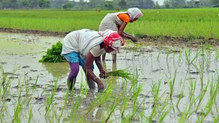 Yogi_Adityanath_with_Farmers_in_UP_Field