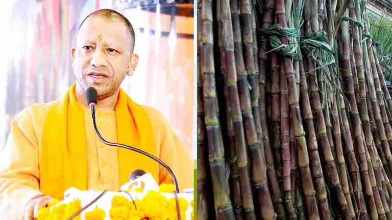 Yogiji Ka Ganna Kisano Ke Liye Naya Kadam