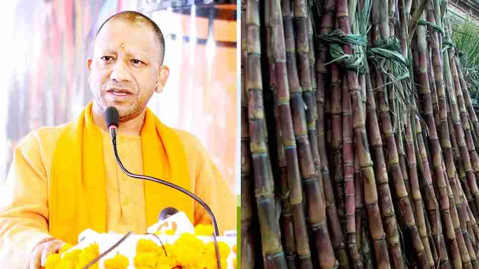 Yogiji Ka Ganna Kisano Ke Liye Naya Kadam