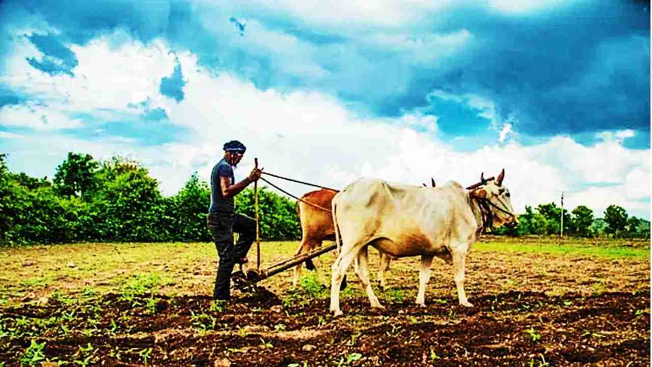 Kisano को 6 लाख का सस्ता कर्ज, जानिए कैसे मिलेगा फायदा! Kisano Uttar Pradesh government, small and marginal farmers will be provided affordable