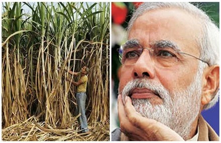 Demand for increase in sugarcane price intensifies in UP 2