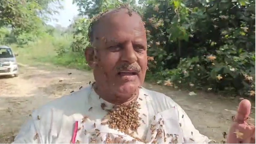 Bulandshahr : युवक बना मधुमक्खियों का दोस्त, वायरल वीडियो से लोग हुए हैरान Madhumakhi Lover Rajendra