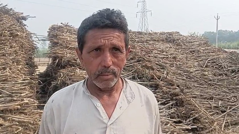 Gramin Kisaan (Shamli)