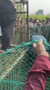 Bijnor में कुएं में गिरा गुलदार, वन विभाग की टीम ने चलाया सफल रेस्क्यू अभियान Kuye Se Guldar Ko Nikalte Van Vibhag Karmi Bijnor