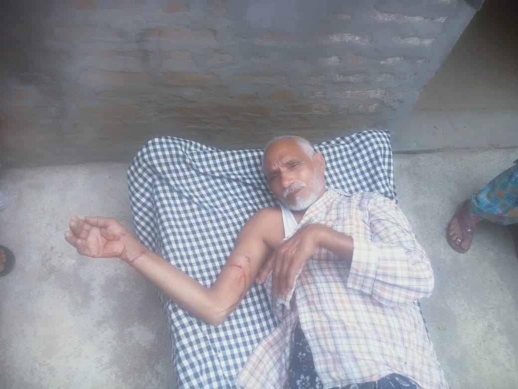 Bandaro Ne Vriddh Par Kiya Hamla (Hapur)