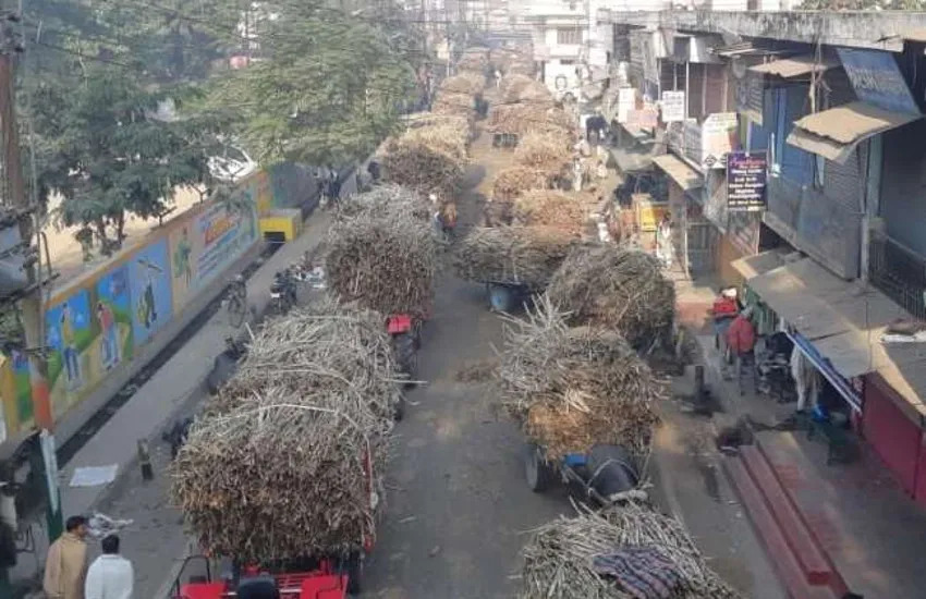 “A ‘no can’ in the early stages of the mill (Shamli)