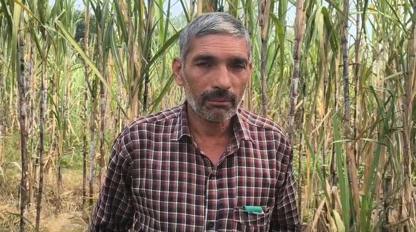 Bijnor में खेत के देव स्थल पर अवैध निर्माण को लेकर बवाल, पुलिस ने गिराया टीन शेड Sthaneey Gramin (Bijnor)