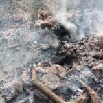 Kasganj Me Honor Killing Shav Shamsan Me Jalaya Parijan Farar