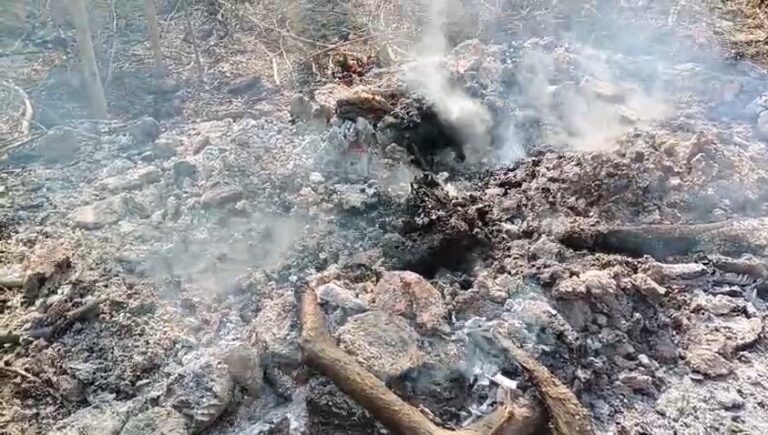 Kasganj Me Honor Killing Shav Shamsan Me Jalaya Parijan Farar