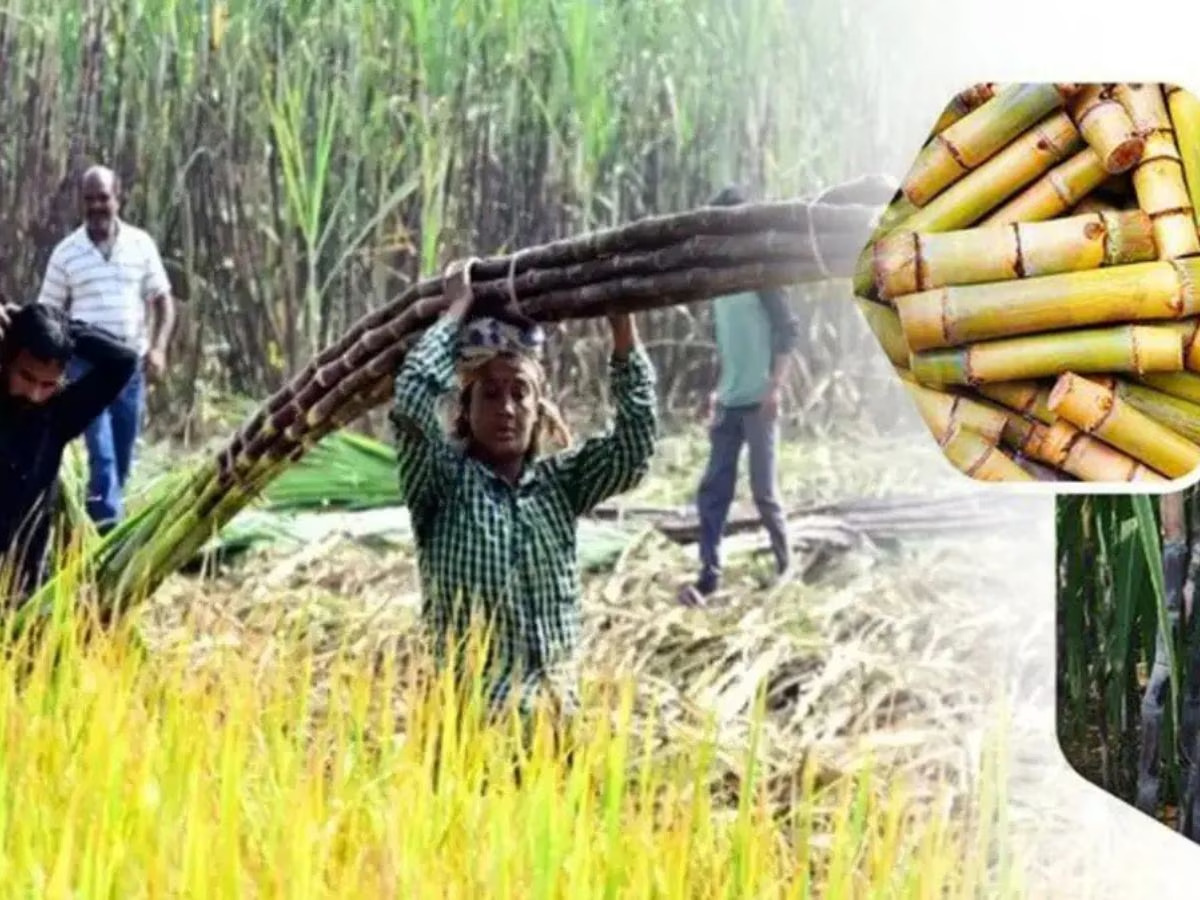 File Photo (Uttar Pradesh)