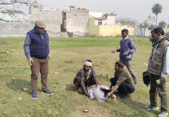 Ghayal Avastha Me Mila Saaras (Bijnor)